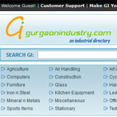 GAP Infotech Timeline